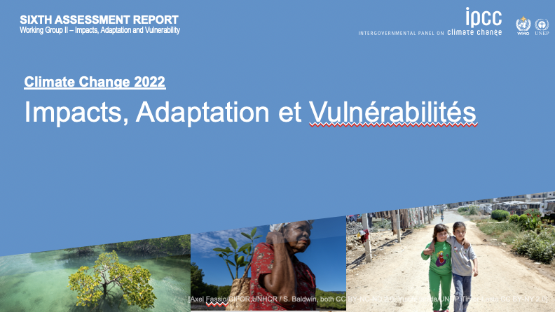 GIEC S6E2 : Impacts, adaptation et vulnérabilités vis-vis du changement climatique